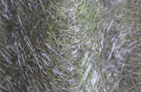 Glaichbea fibreglass roof work